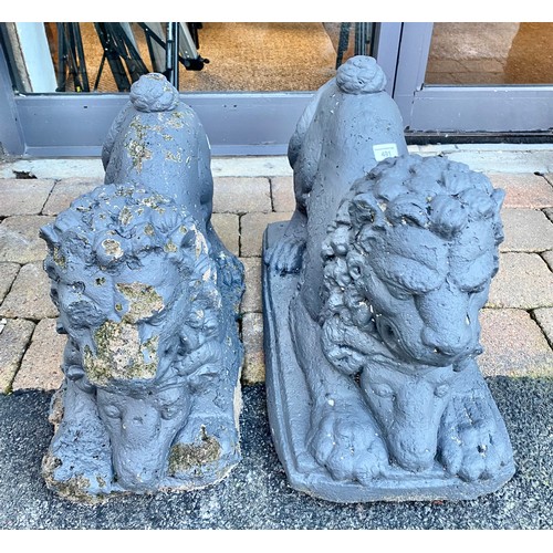 491 - Pair of concrete Lions, 56 cm long (2)