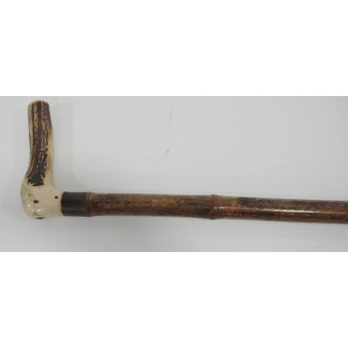 306 - Bamboo and antler-handled walking cane with graduation for measuring the height of horses, 94cm, a r... 