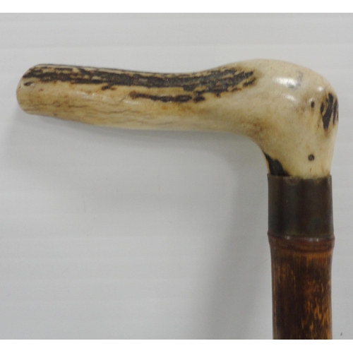 306 - Bamboo and antler-handled walking cane with graduation for measuring the height of horses, 94cm, a r... 