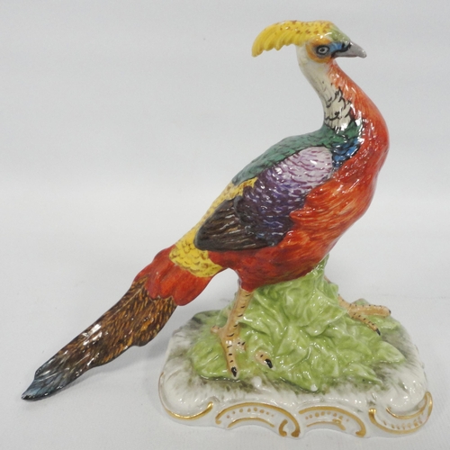 241 - Carl Thieme for DresdenPorcelain model of a golden pheasant, 20th century, glazed in rich colours on... 