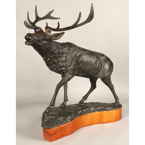 244 - Contemporary bronze stag figure with hardwood base, 68cm height (81.5cm including antlers), 63cm len... 