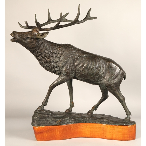 244 - Contemporary bronze stag figure with hardwood base, 68cm height (81.5cm including antlers), 63cm len... 