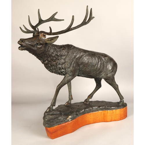 244 - Contemporary bronze stag figure with hardwood base, 68cm height (81.5cm including antlers), 63cm len... 