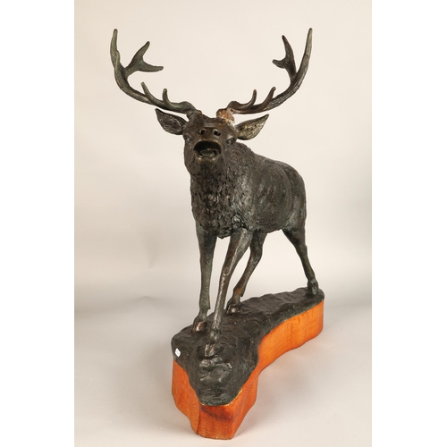 244 - Contemporary bronze stag figure with hardwood base, 68cm height (81.5cm including antlers), 63cm len... 