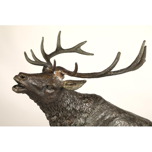 244 - Contemporary bronze stag figure with hardwood base, 68cm height (81.5cm including antlers), 63cm len... 