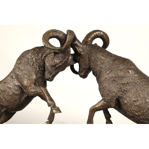 247 - Twentieth century figure of two rams fighting on marble base, signed T R, 75cm long, 47cm high