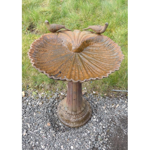 531 - Antique cast iron bird bath decorated with two doves above scallop bowl on a reeded column. 67cms. h... 