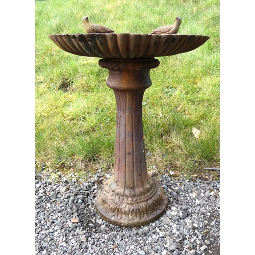 531 - Antique cast iron bird bath decorated with two doves above scallop bowl on a reeded column. 67cms. h... 