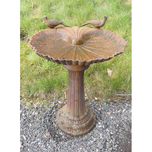 531 - Antique cast iron bird bath decorated with two doves above scallop bowl on a reeded column. 67cms. h... 