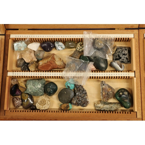 46 - Three trays containing minerals and geological specimens.