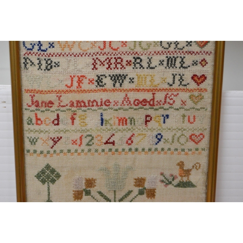 404 - Victorian needlepoint sampler worked by Elizabeth English, aged 10, dated 1885, stitched with alphab... 