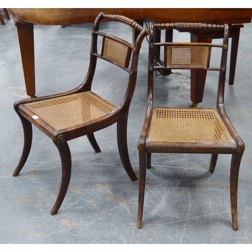 479 - Pair of Regency mahogany dining chairs, each with cane work to the back rest and seat, gilt metal ro... 