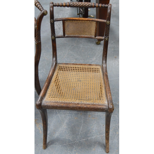 479 - Pair of Regency mahogany dining chairs, each with cane work to the back rest and seat, gilt metal ro... 