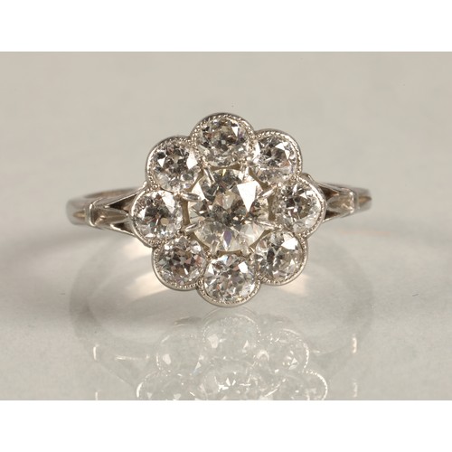 65 - Ladies Diamond daisy cluster ring set in white metal, central stone 0.5 carat surrounded by eight 0.... 