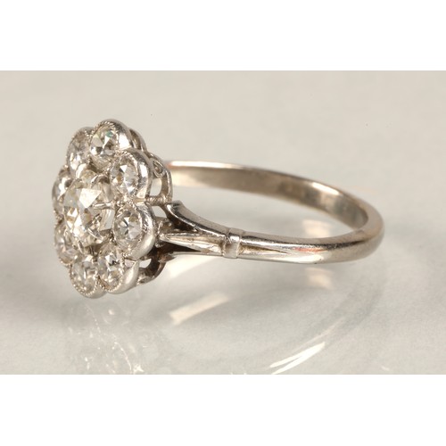 65 - Ladies Diamond daisy cluster ring set in white metal, central stone 0.5 carat surrounded by eight 0.... 