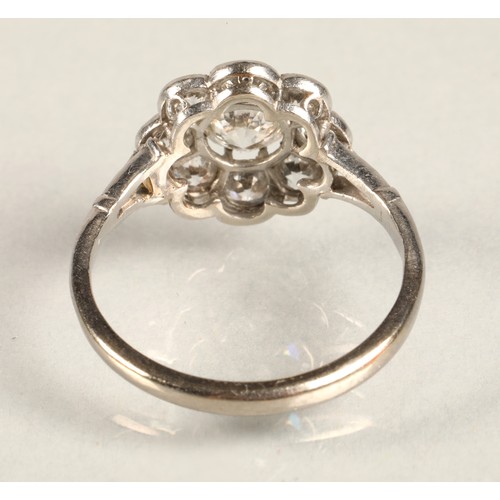 65 - Ladies Diamond daisy cluster ring set in white metal, central stone 0.5 carat surrounded by eight 0.... 