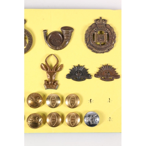 1485 - Board of military cap badges and buttons to include 96th Regiment, 1st RDM (Royal Devon Military), S... 