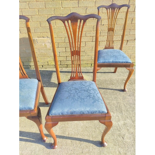 527 - Four early 20th century Hepplewhite style mahogany dining chairs with slip in upholstered blue damas... 