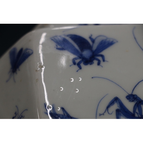 81 - Japanese blue and white porcelain jar and cover decorated profusely with insects, snails, etc.