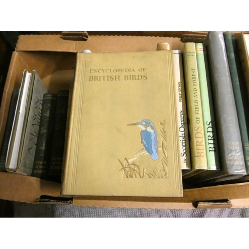 84 - Ornithology.  A carton of various vols.