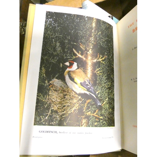 84 - Ornithology.  A carton of various vols.