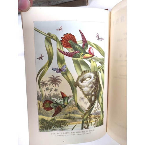 175 - TAYLOR E. A.  Paris Past & Present, ed. by Charles Holme. Illus. Quarto. Cloth gilt, m... 