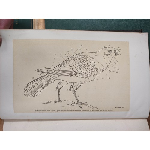 194 - BULLER W. L.  Manual of the Birds of New Zealand. litho frontis & plates & text il... 