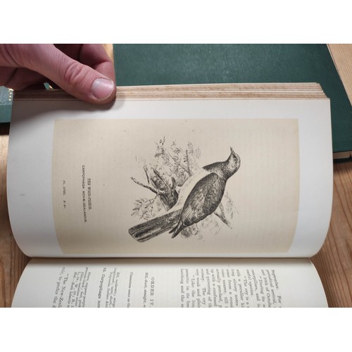 194 - BULLER W. L.  Manual of the Birds of New Zealand. litho frontis & plates & text il... 