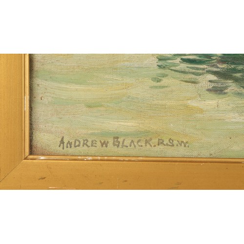 496 - Andrew Black RSW (Scottish 1850-1916), framed oil on canvas, signed lower left, 