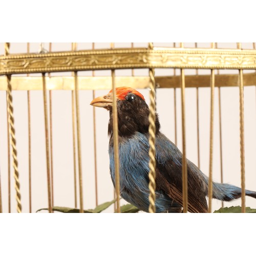 268 - A good antique coin operated mechanical singing bird in a cage, made by Bontems of Paris, circa 1910... 