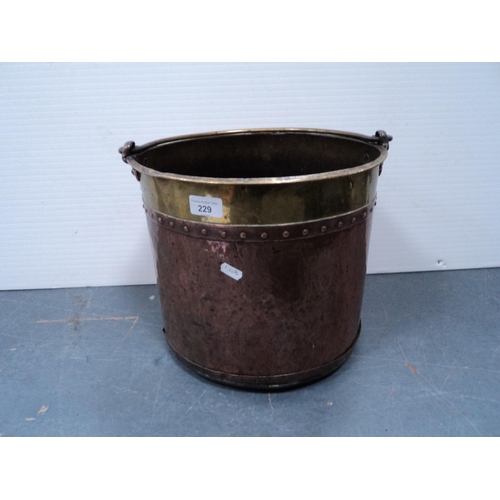 Lot 229       
