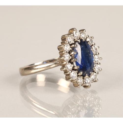 77 - Ladies 18ct white gold sapphire and diamond ring, central sapphire surrounded by fourteen small diam... 