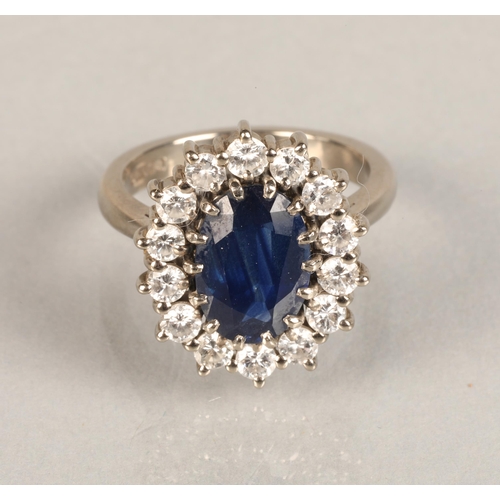 77 - Ladies 18ct white gold sapphire and diamond ring, central sapphire surrounded by fourteen small diam... 