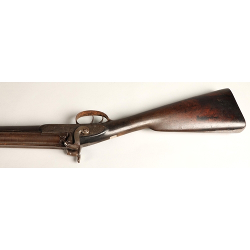 260 - 19th century Earl & Co percussion double barrel shotgun,116cm long.