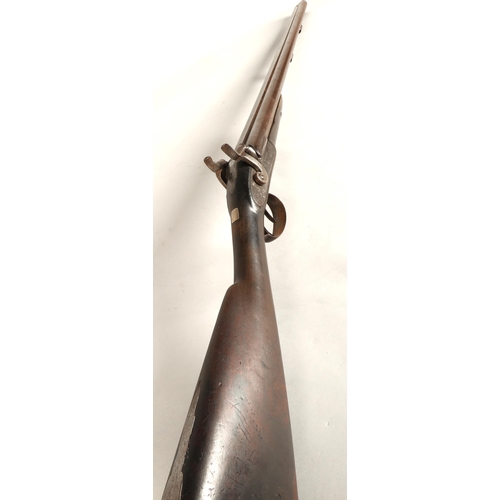 260 - 19th century Earl & Co percussion double barrel shotgun,116cm long.