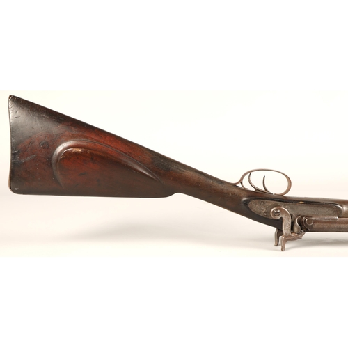 260 - 19th century Earl & Co percussion double barrel shotgun,116cm long.