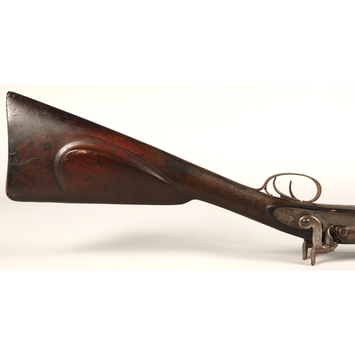 260 - 19th century Earl & Co percussion double barrel shotgun,116cm long.