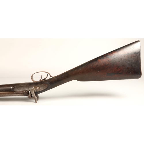 260 - 19th century Earl & Co percussion double barrel shotgun,116cm long.