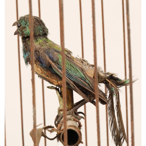 279 - A 19th century mechanical singing bird in a cage, mounted on a gilded base, 55cm high.