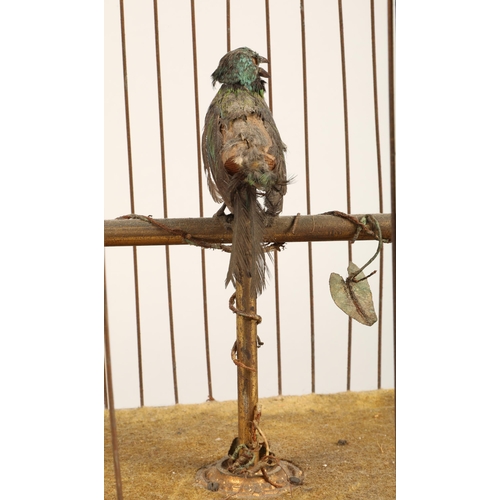 279 - A 19th century mechanical singing bird in a cage, mounted on a gilded base, 55cm high.