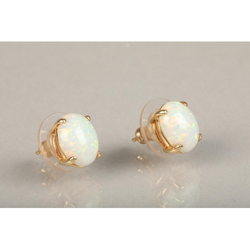 231 - Pair of oval white opal cabochon earrings, basket mounted on yellow metal mounts, opal size each app... 