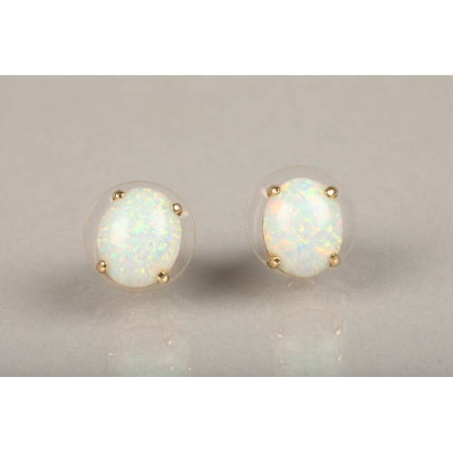 231 - Pair of oval white opal cabochon earrings, basket mounted on yellow metal mounts, opal size each app... 