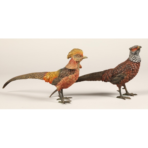 248 - Two cold painted bronze pheasants, Lady Amherst pheasant and a Golden pheasant, 37cm long, 33 cm lon... 