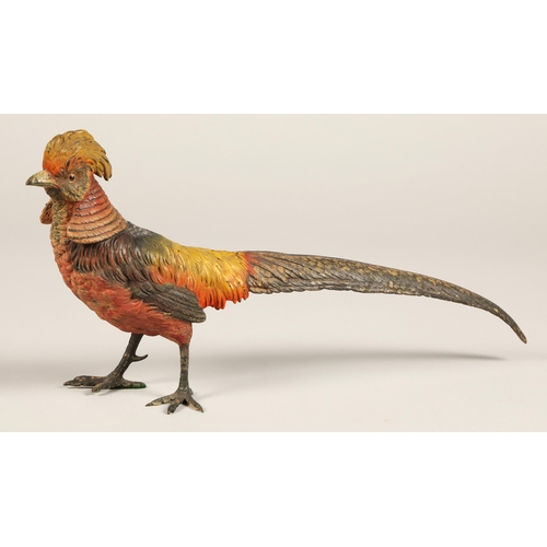 248 - Two cold painted bronze pheasants, Lady Amherst pheasant and a Golden pheasant, 37cm long, 33 cm lon... 