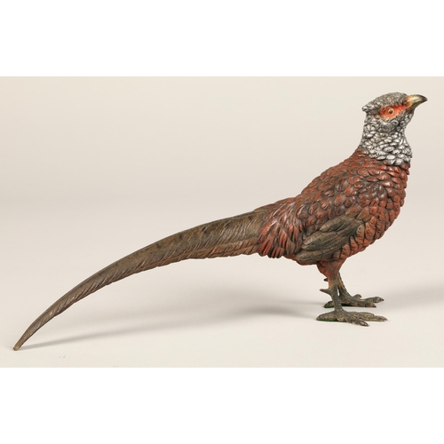 248 - Two cold painted bronze pheasants, Lady Amherst pheasant and a Golden pheasant, 37cm long, 33 cm lon... 