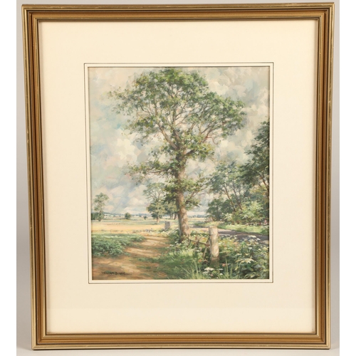 505 - William Binnie, framed watercolour, signed, 