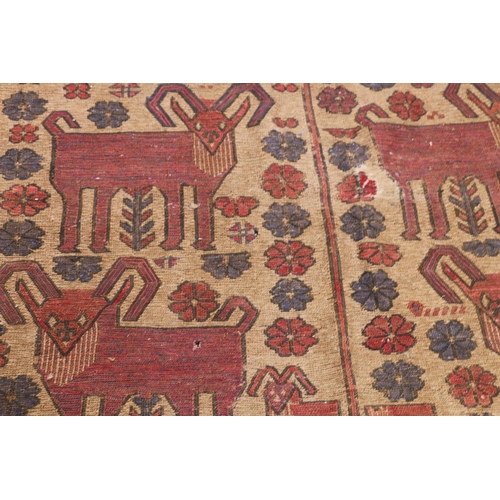 626 - Caucasian carpet rug, the beige ground decorated with geometric goats and flowers within a geometric... 