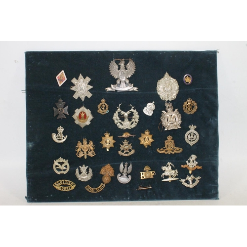 1498 - Board of military cap badges, shoulder titles and buttons to include Kings Own Scottish Borderers, R... 