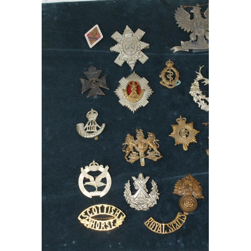 1498 - Board of military cap badges, shoulder titles and buttons to include Kings Own Scottish Borderers, R... 