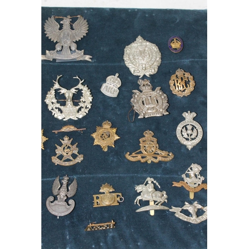 1498 - Board of military cap badges, shoulder titles and buttons to include Kings Own Scottish Borderers, R... 